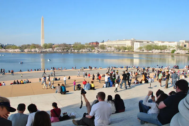 People taking photos of cherry blossom trees from Jefferson Memorial steps - Spring in Washington, DC