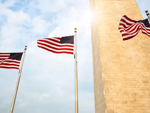 USA flags around Washington Monument