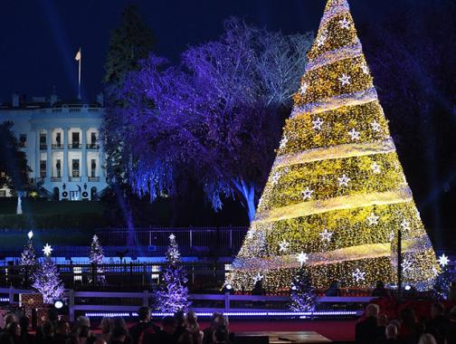 Foto capturada de la ceremonia nacional de iluminación del árbol de Navidad fuera de la Casa Blanca