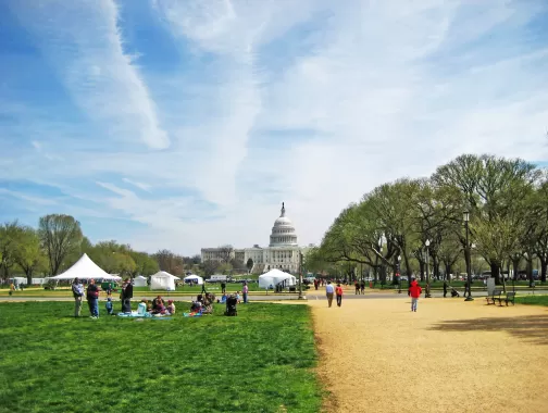 National Mall mit dem Capitol in der Ferne und Menschen auf dem Rasen