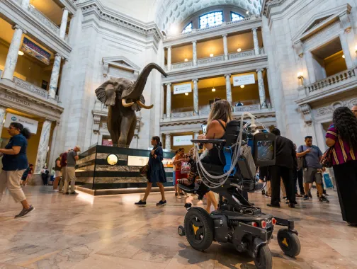 Accessibility in Smithsonian Museums 