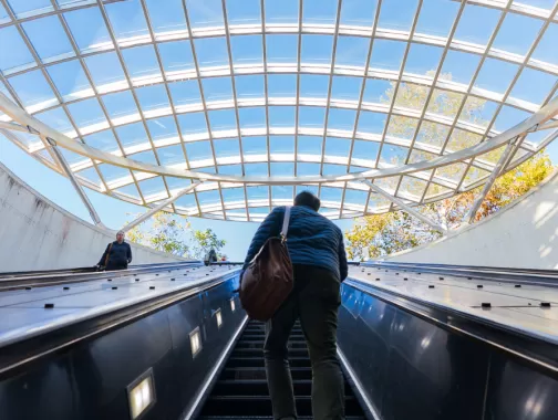 People ride up an escalator towards a skylight with a grid-like structure, revealing a bright blue sky and trees outside.