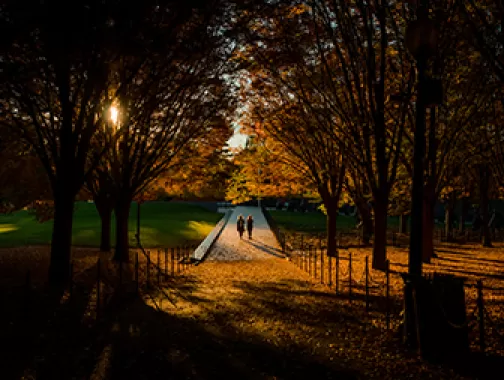 National Mall in Fall