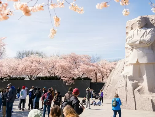 I visitatori ammirano il Martin Luther King Jr. Memorial incorniciato dai ciliegi in fiore in una luminosa giornata primaverile a Washington, DC.