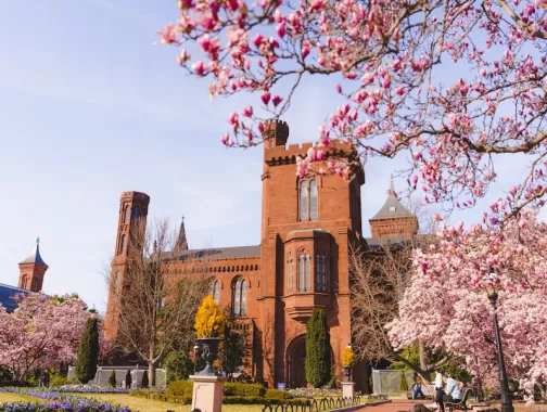 Picture of Enid Haupt Garden 