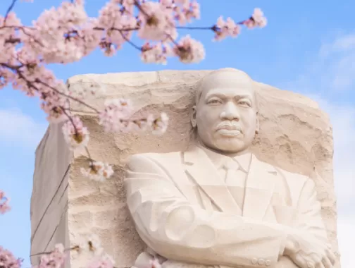 Memorial Martin Luther King Jr. na primavera