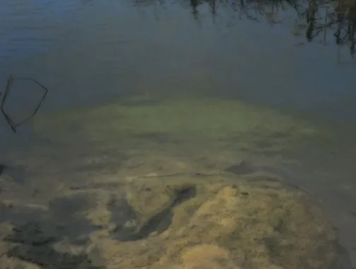 菲利普斯收藏館的「彼得坎普斯：某處」展覽