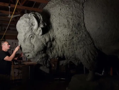 'Bronze Bison' at the National Museum of Natural History