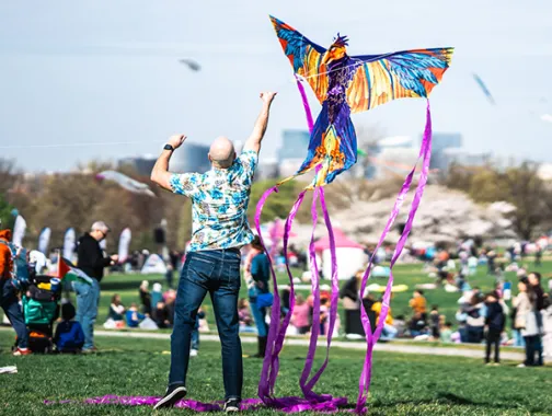 People flying kites at the National Cherry Blossom Kite Festival