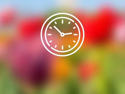 A simple clock icon represents timed entry information.