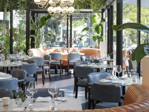 Airy restaurant dining room with large windows, plants and set tables.