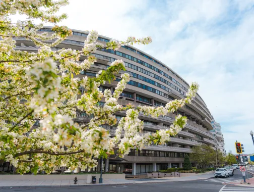 Curved multi-story building, the Watergate Hotel, behind flowering tree at a DC street corner.