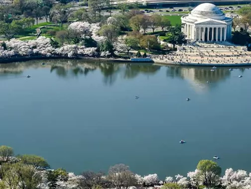 Your green Washington, DC travel guide for where to find sustainable hotels, eco-friendly attractions, locally sourced food, LEED-certified venues and more