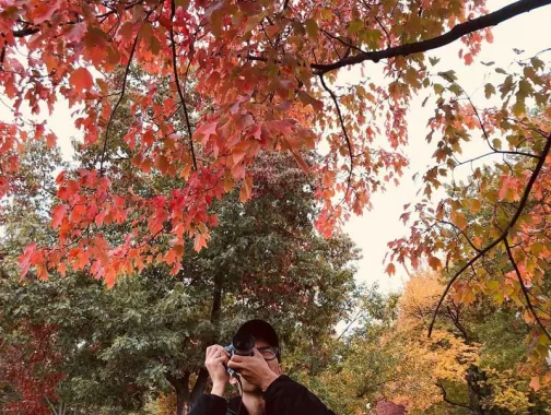 @ktkreitman - Photographing fall foliage on the National Mall - Fall in Washington, DC