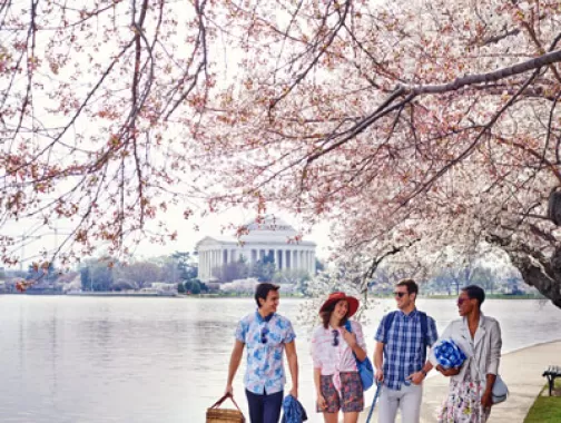 Washington, DC-Reiserouten - Planen Sie Ihre Reise nach DC