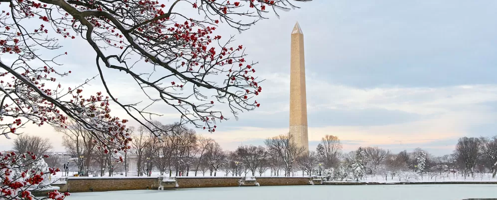 Monumento a Washington desde la Cuenca Tidal en invierno