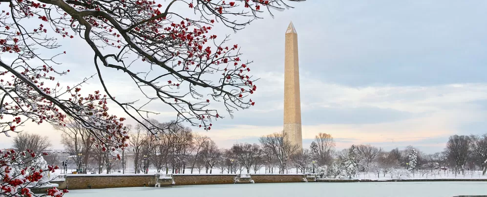 Washington Monument from the Tidal Basin in Winter