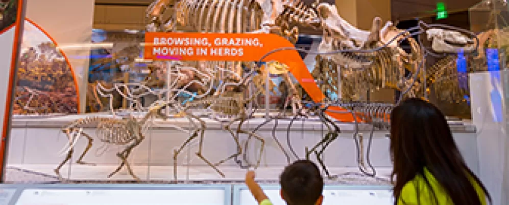 Adulto e criança apontando para um fóssil de dinossauro