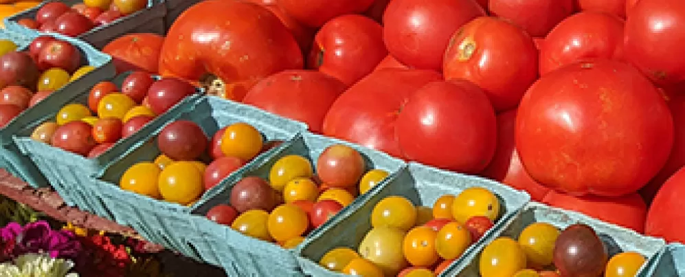 Agricultores de Dupont Circle exibem frutas e vegetais