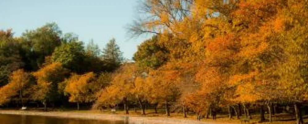 Caída de la cuenca de marea