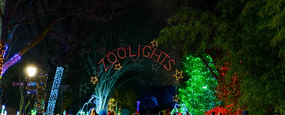 ZooLights