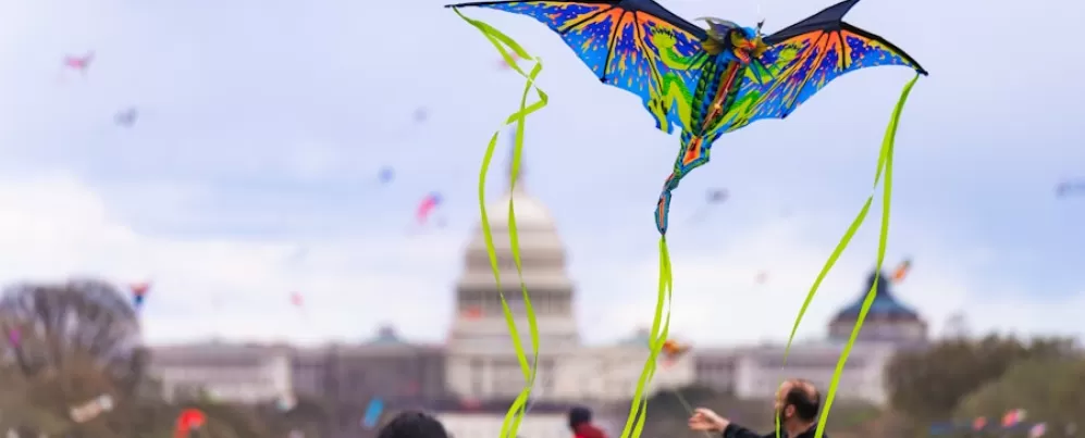 A vibrant kite flies in the foreground with the U.S. Capitol building in the background during the National Cherry Blossom Festival.