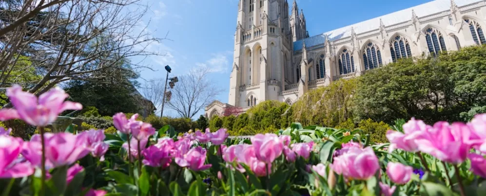 Catedral Nacional con algunas flores