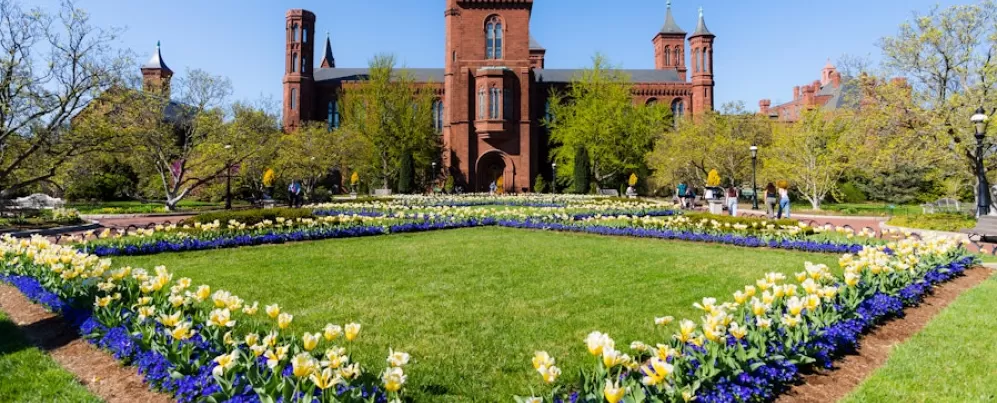 Một khu vườn sống động với những bông hoa đầy màu sắc bao quanh Lâu đài Smithsonian lịch sử xây bằng gạch đỏ dưới bầu trời xanh trong.