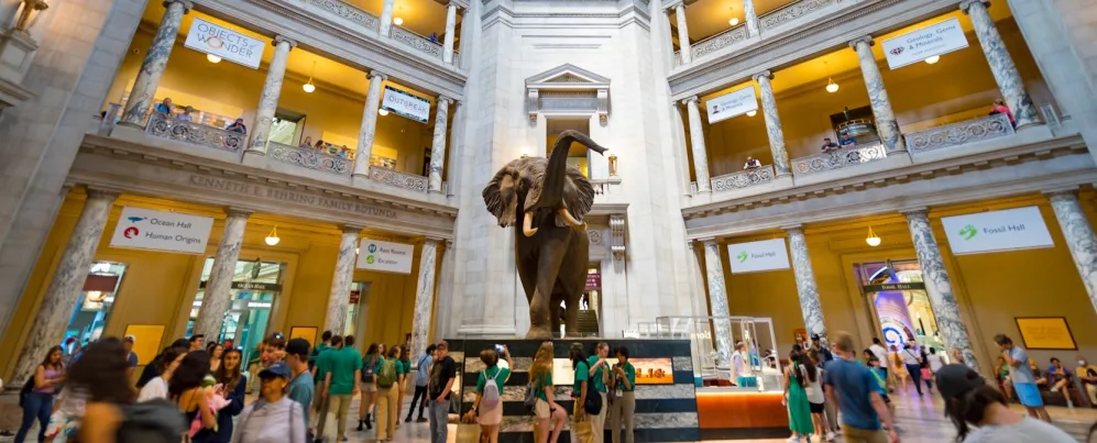Interior do Museu de História Natural com o famoso elefante taxidermizado no centro.