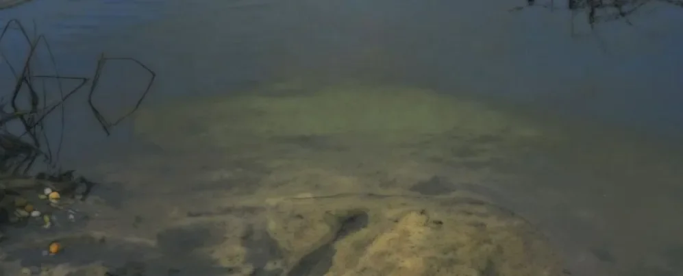 필립스 컬렉션에서 열리는 '피터 캠퍼스: 어딘가에' 전시