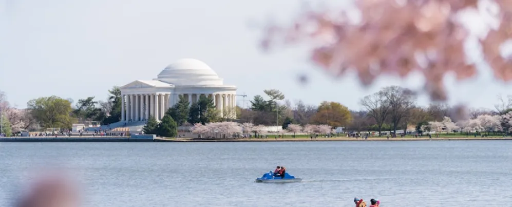 A view of the Jefferson Memorial from across the Tidal Basin, with blooming cherry blossom trees in the foreground and paddle boats in the water.