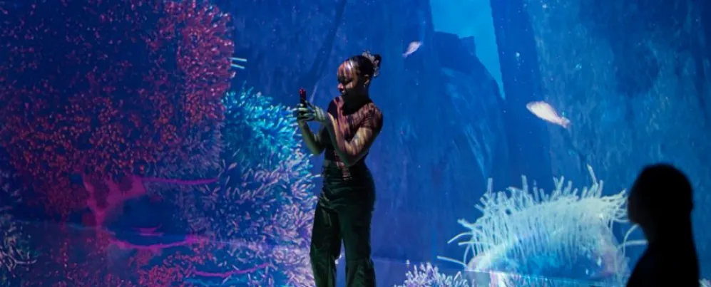 SUBMERGE at ARTECHOUSE