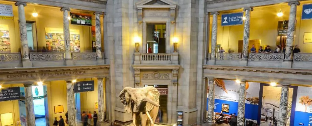 The Capital of Free Museums | Washington DC