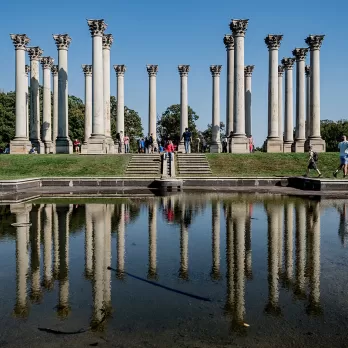 Arboreto Nacional dos Estados Unidos em Washington, DC - atração gratuita ao ar livre para toda a família