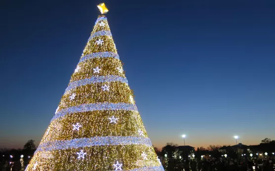 CENTENARIO NAZIONALE DELL'ALBERO DI NATALE