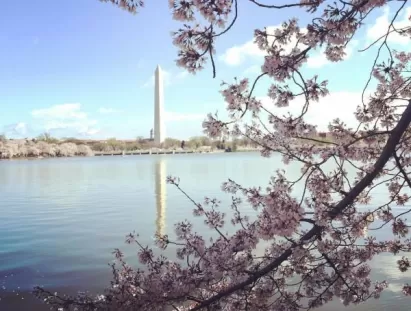 Washington DC
