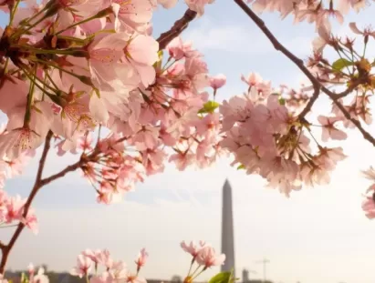 Washington DC