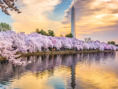 워싱턴 DC