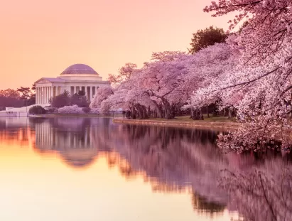 Washington DC