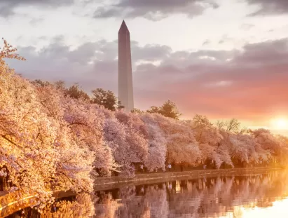 washington dc