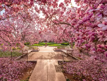 washington dc
