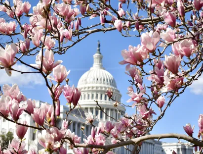 Washington DC
