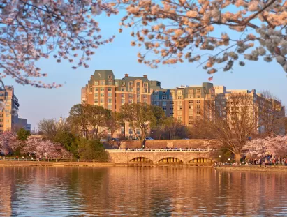 Washington DC