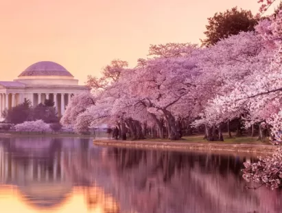 Washington DC