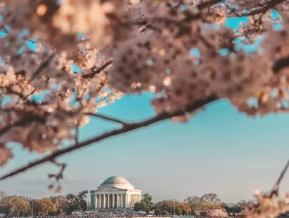 washington dc