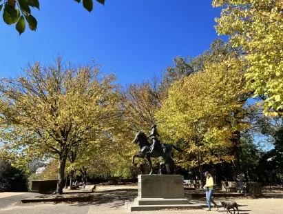 Washington DC