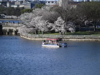 washington dc