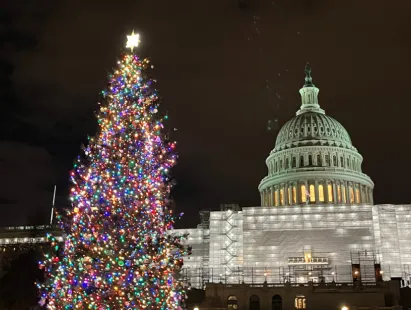 washington dc