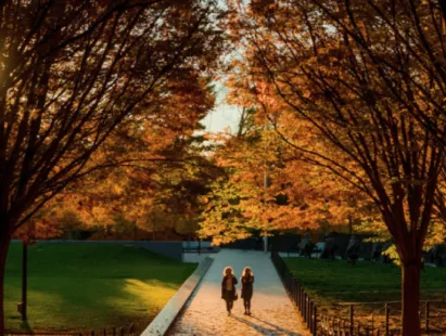 washington dc