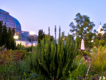 USBG After Dark: Pick Your Poison